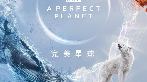 【纪录片】完美星球 (2021) 全5集【阿里云盘】