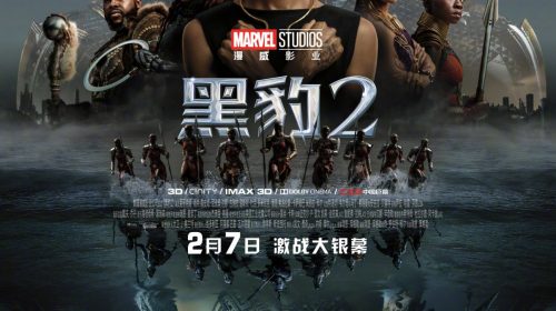 【电影】黑豹2 官方中子外挂字幕【7.09GB】